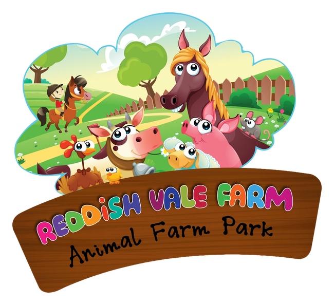 RVF Animal Farm Ltd