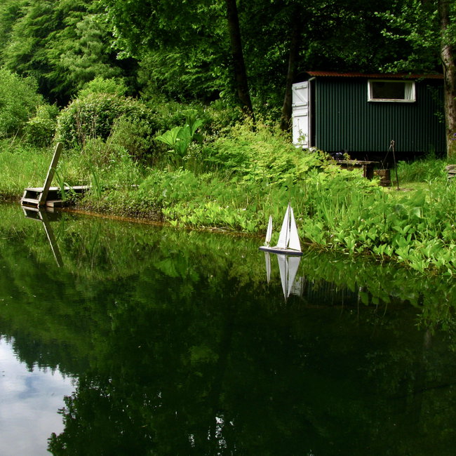 Cash gift card