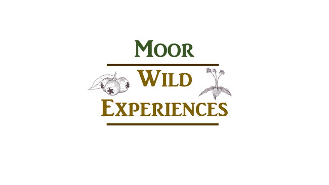 Moor Wild Experiences