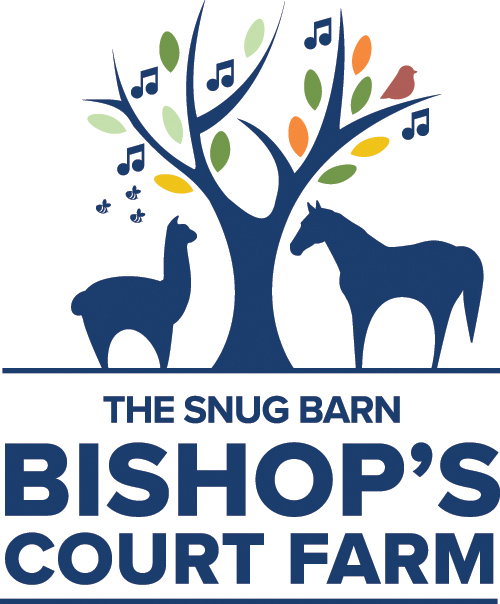Music Events @ Bishop's Court Farm
