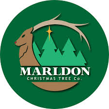 Marldon Christmas Tree Company