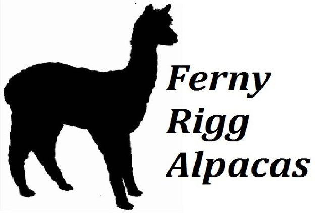 Ferny Rigg Alpacas
