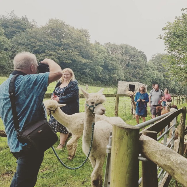 Gift Voucher for Five People - Summer Alpaca Experience - A Private Alpaca Walk & Tour