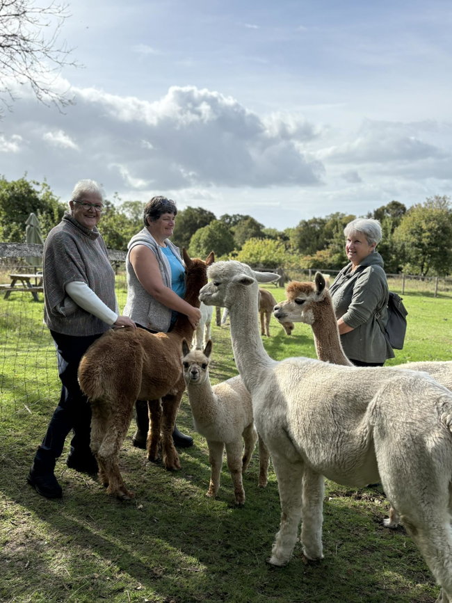 Meet the Alpacas Private Tour - Voucher for Four Adults