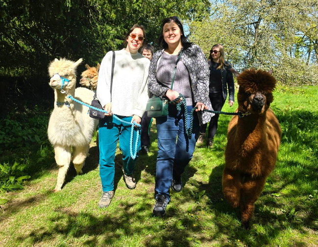 Private Alpaca Orchard Walk & Tour - For upto four people