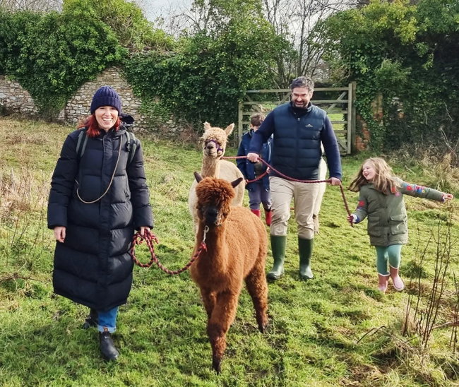 Alpaca Orchard Walk Experience - Family Gift Voucher