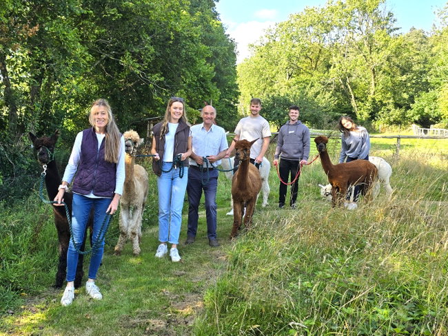 Gift Voucher for Six People - Summer Alpaca Experience - A Private Alpaca Walk & Tour