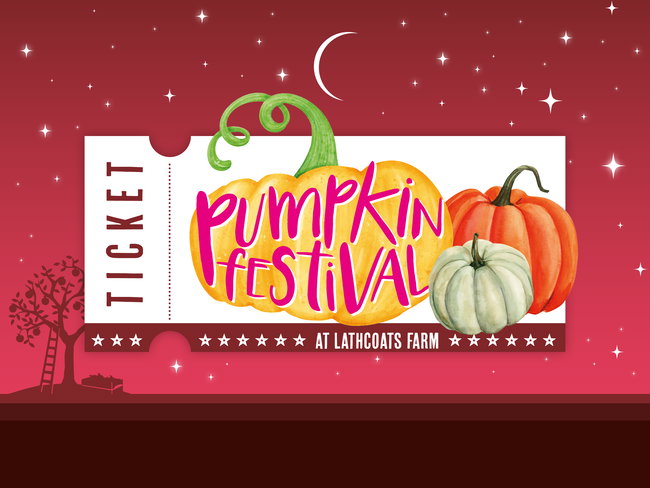 The Pumpkin Festival - Book the Pumpkin Patch, Halloween Trail or BOTH!