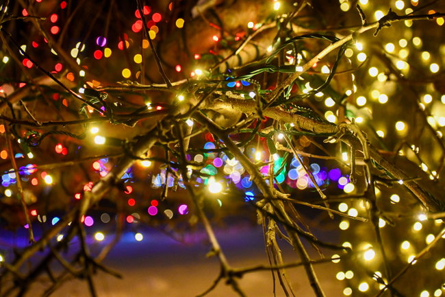 Winter Lights 2026
