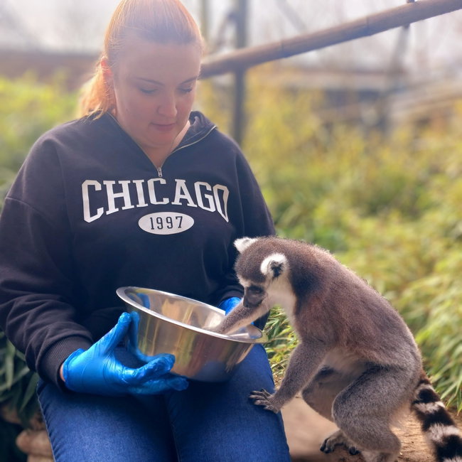 Animal Experiences