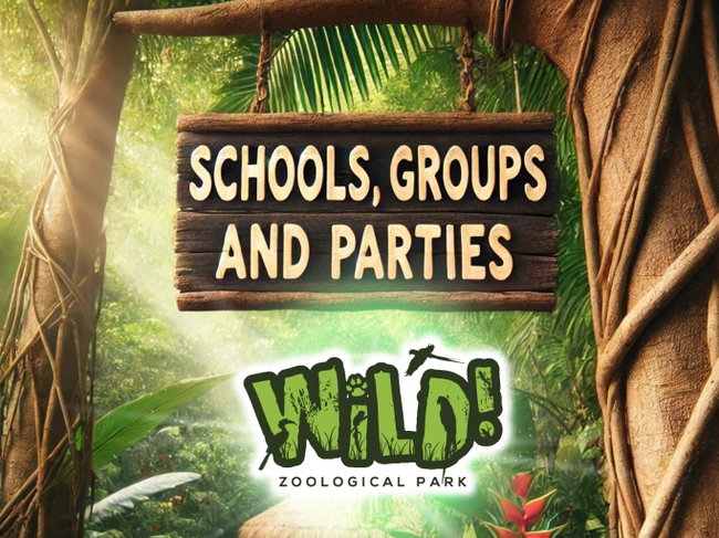 Schools, Groups and Parties