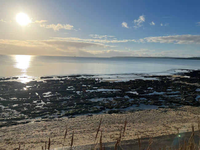Falmouth Safaris