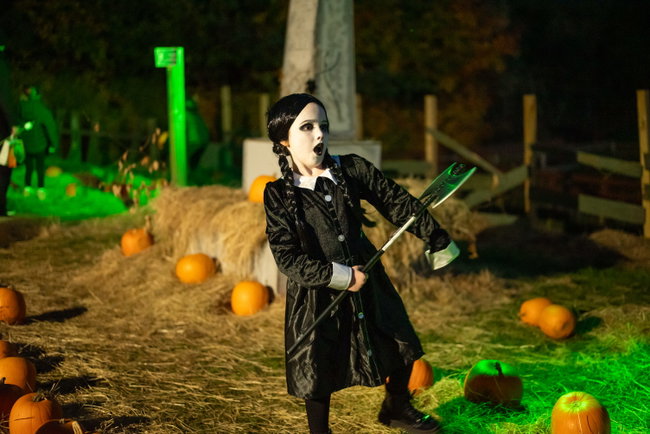 Fright Nights - Stranger Bings