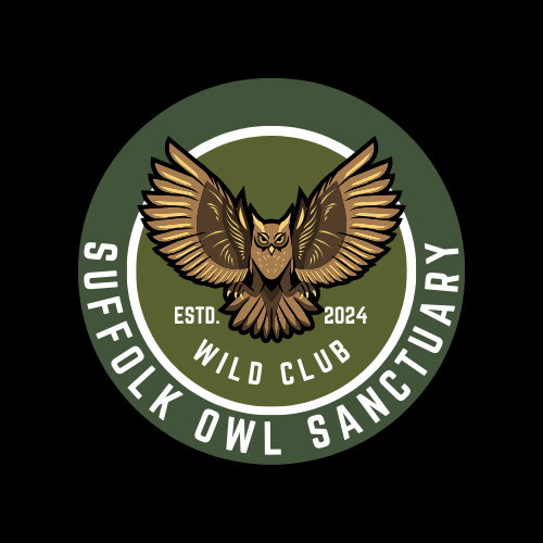 Wild Club