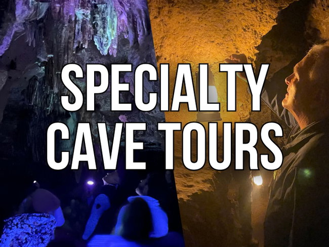 Specialty Cave Tours