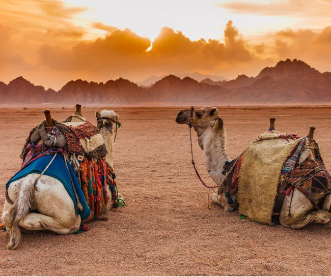 Sharm El Sheikh