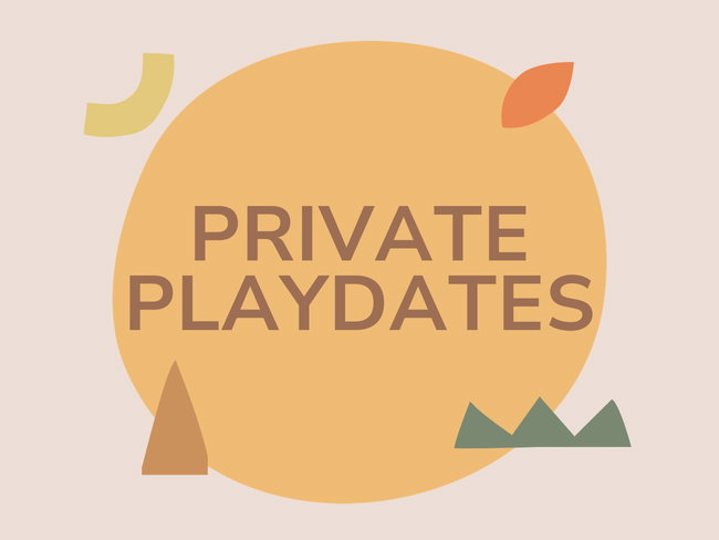 Private Playdates
