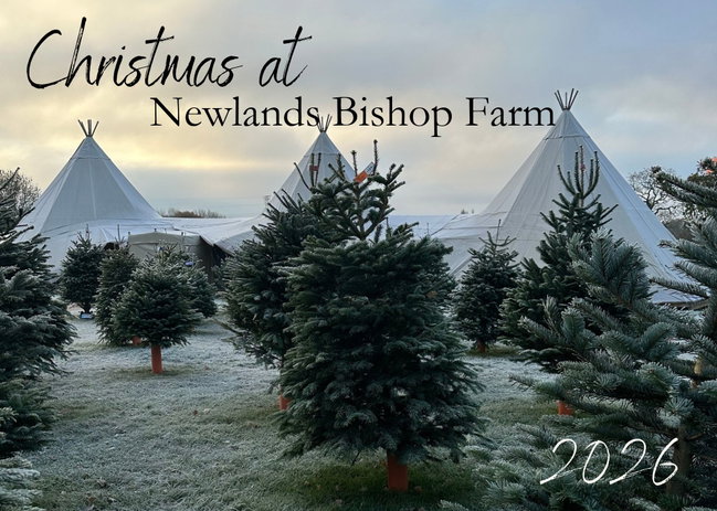 Christmas events at the farm