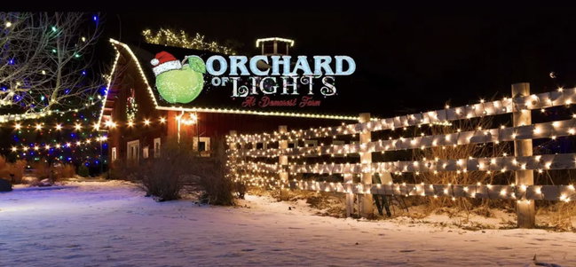 Orchard of Lights & Winter Lights Petting Zoo ( From $35 - $69)