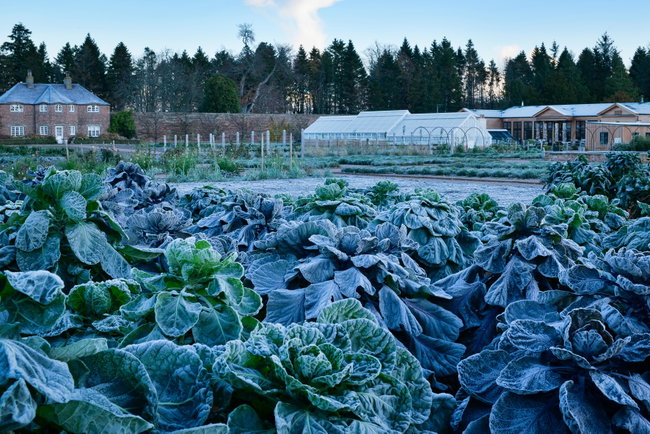 November 2026 - April 2027 Walled Garden Entry