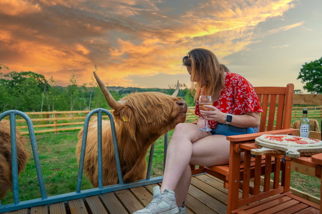 Evening booking - Highland Cow Pizza Experience (5pm-onwards)