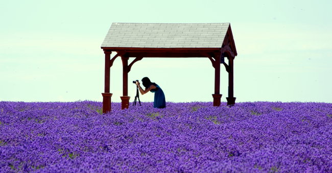 Professional Photography Passes