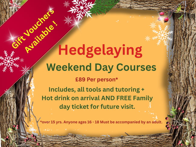 WEEKEND Day Hedgelaying Course