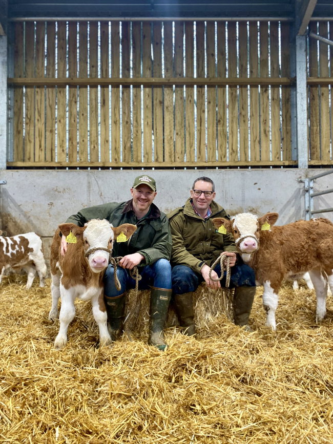 Calf Cuddles 