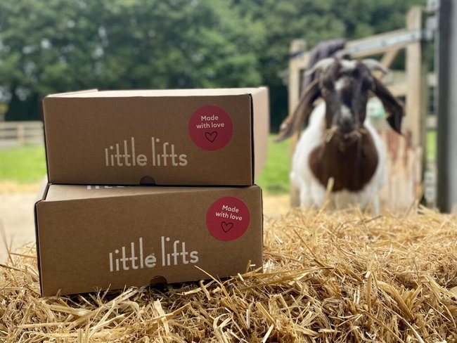 Goat Shed Little Lifts Quiz 