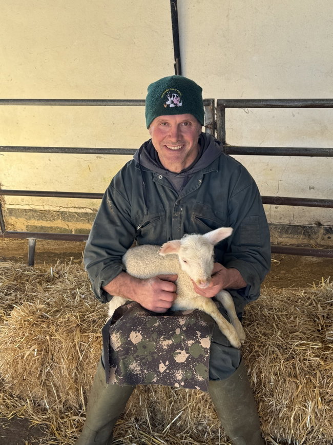 Lambing - Adults only : 6.00pm-7.30pm - SOLD OUT