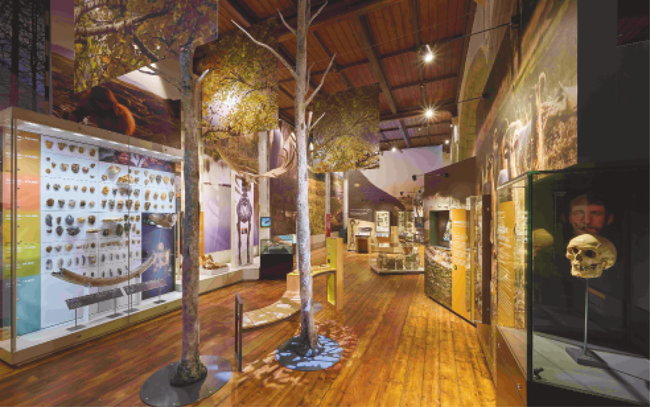 Maidstone Museum | Tour of Lives in our Landscape | 11th September 2026