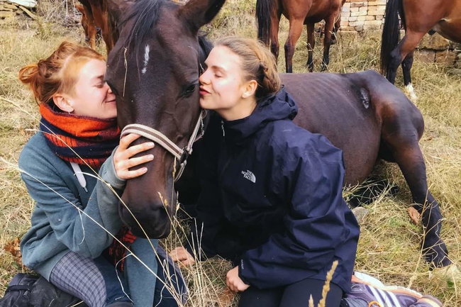 Meditate with horses Christmas special. 