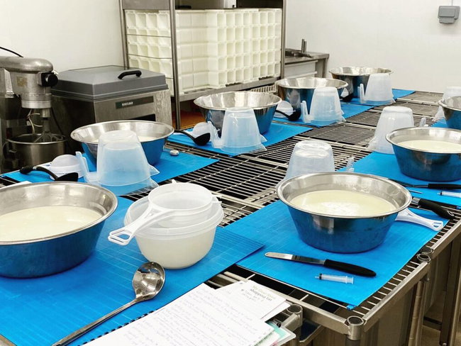 Cheese Making - Gift Voucher 