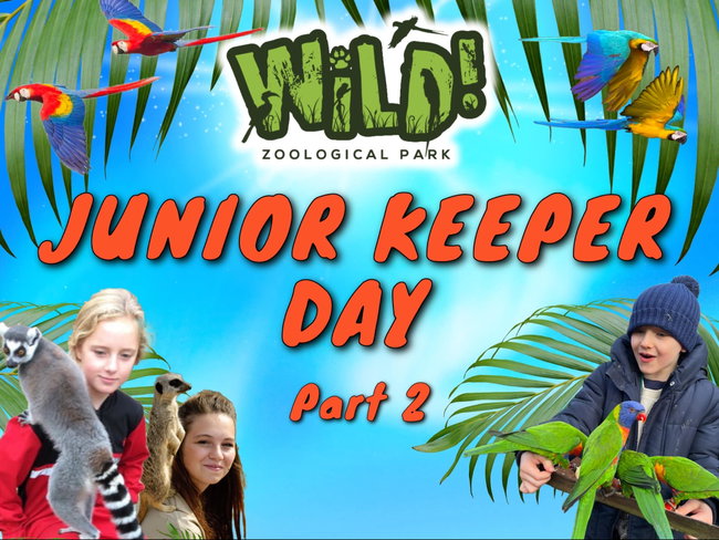 Junior Keeper Day - Part 2 - Saturday 20th March 2027
