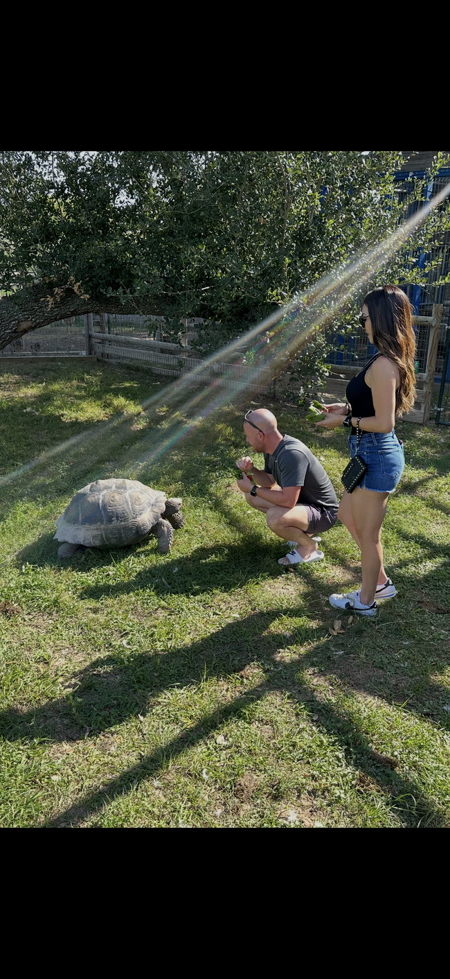 Safari Package (Includes all 6 encounters)