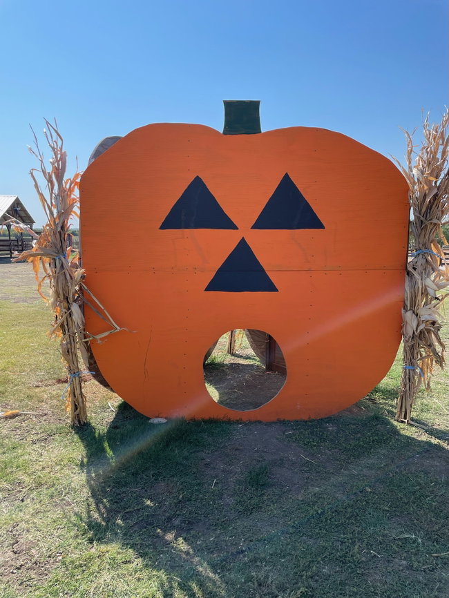 Pumpkin Patch at the Farm