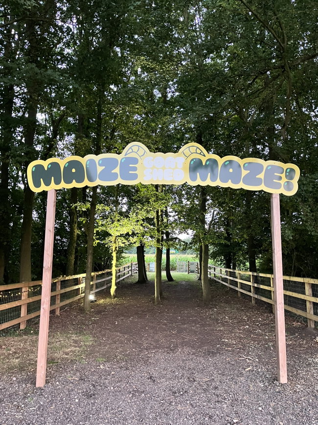 Twilight Maze