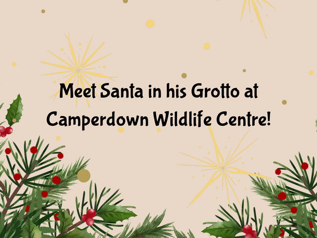 Meet Santa at Camperdown Wildlife Centre!