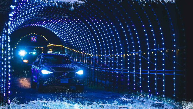 🚗 Light Show Only ($35) - choose tickets, then pick an available date!
