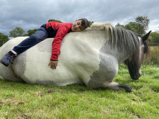 Early Bird 10% Meditate with horses 