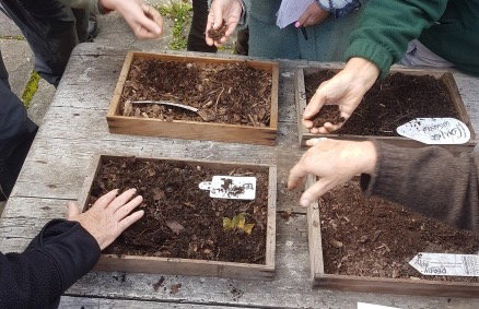 Compost making Gift Voucher  25th April 