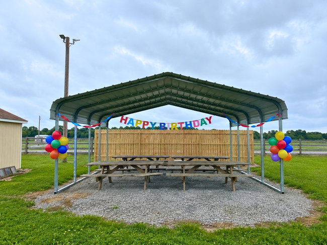 The Birthday Party Pavillon