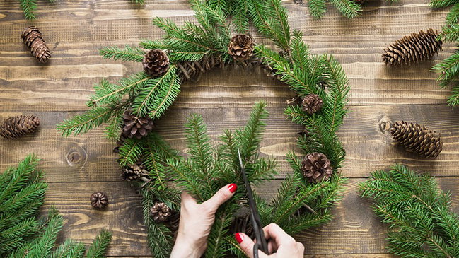 Evergreen Elegance: Create Your Own Wreath