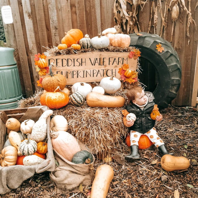 Halloween Pumpkin Festival 10th October-31st October (Early Bird Now Sold Out)