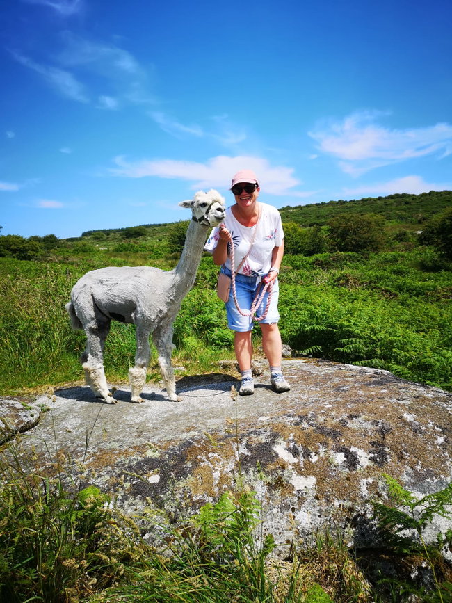Alpaca Trekking Experience for one