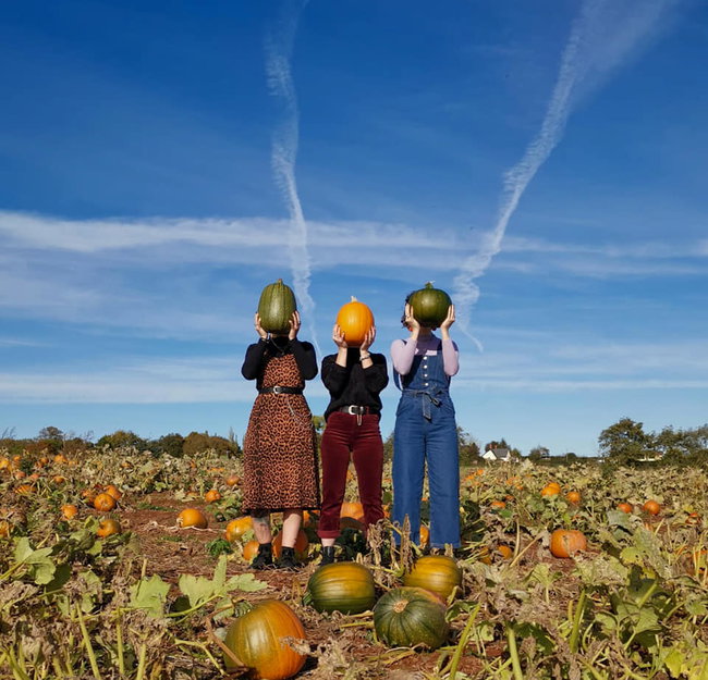 Pumpkin Patch 2024