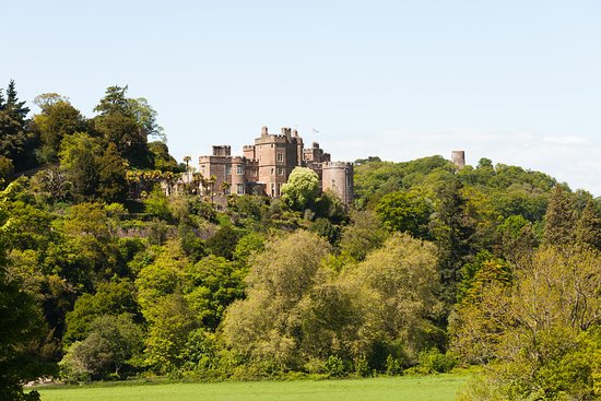Explore Dunster Castle and Deer Park