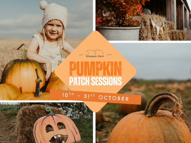 Pumpkin Patch Sessions 