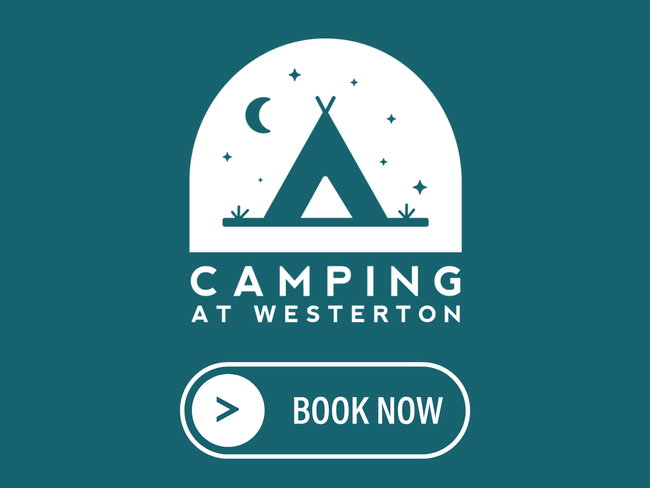 Camping at Westerton