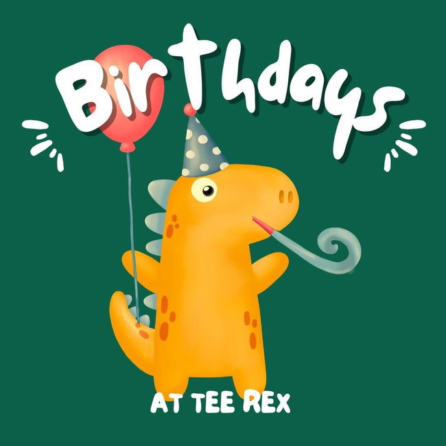 Soft Play Party - Room A 